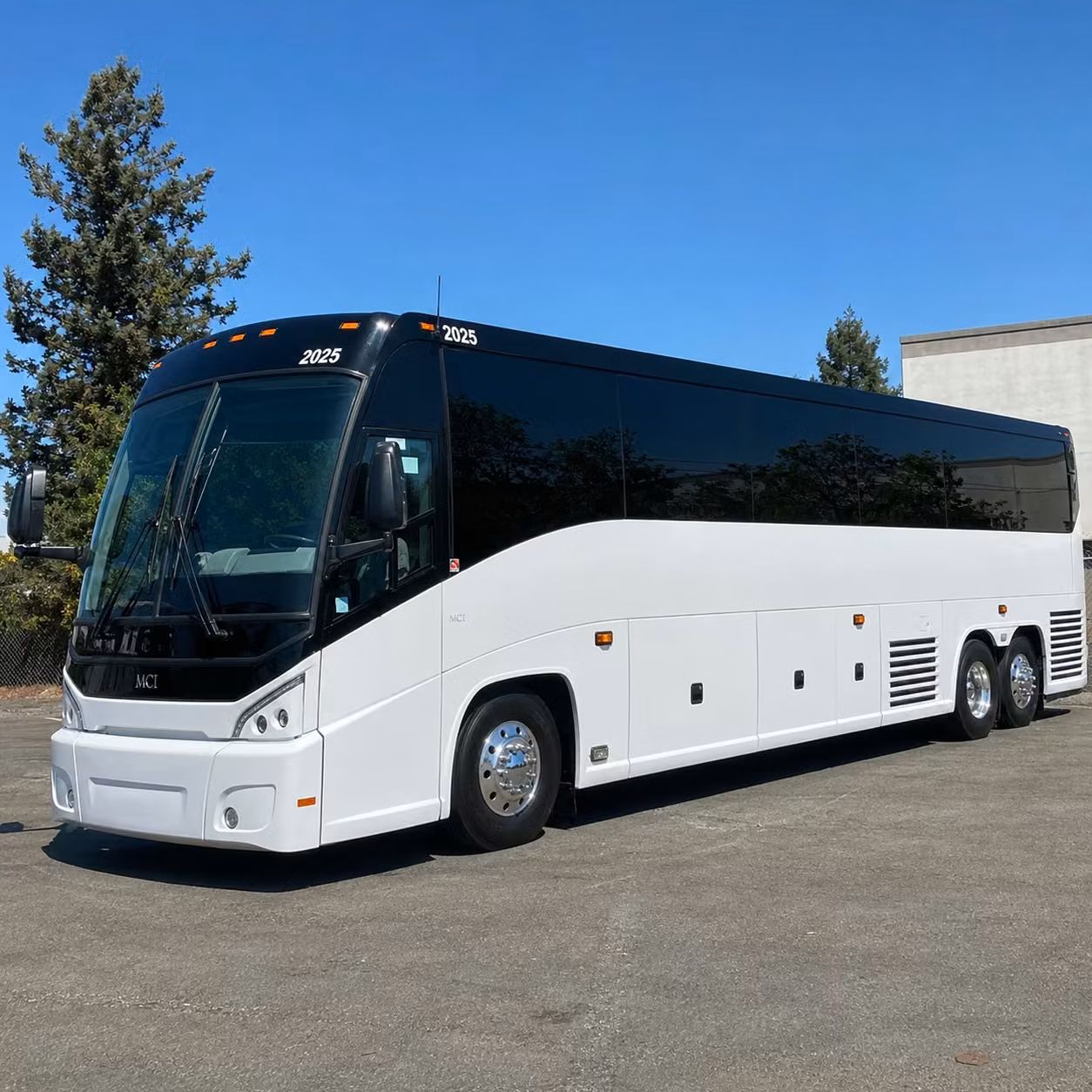 56 passenger charter bus